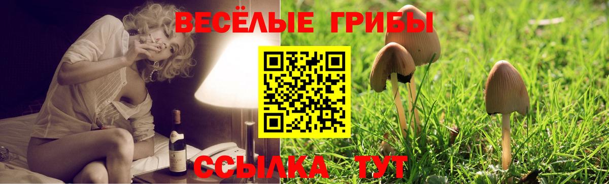Галлюциногенные грибы мицелий Саранск